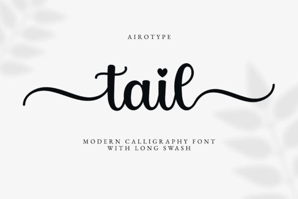 Tail: The Script Font That Adds Instant Elegance
